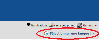 traduction instantanée.PNG
